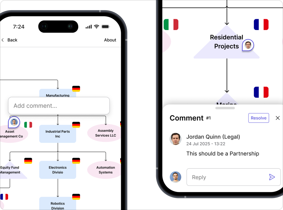 Preview of mobile case study