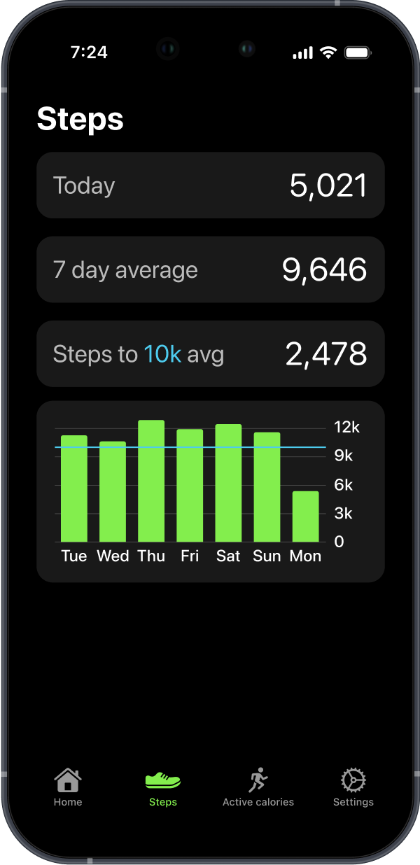 Steps Counter Stats Screen